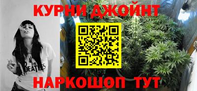 шишки Обь
