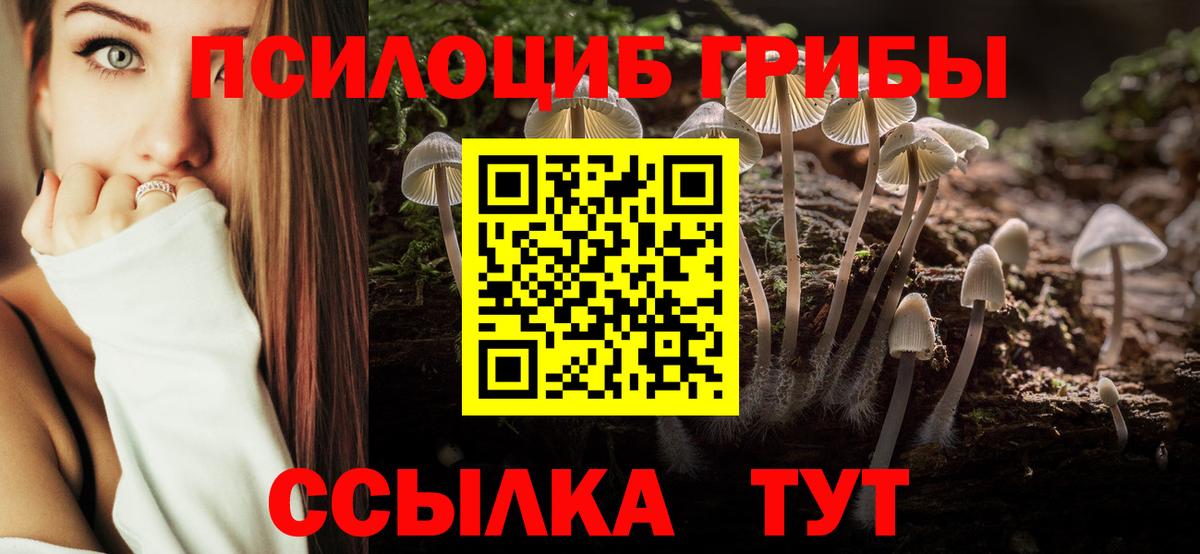 Псилоцибиновые грибы мицелий  купить наркоту  Ступино  Вход с VPN 