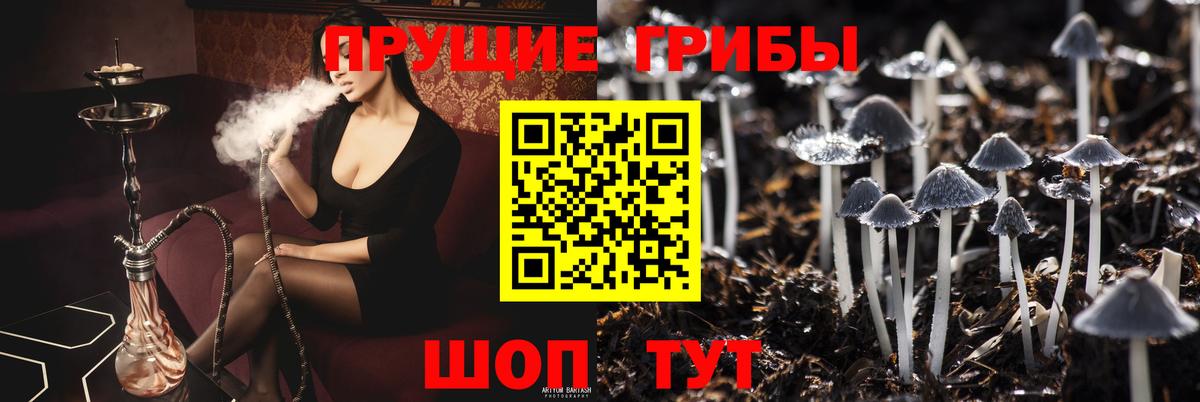 Псилоцибиновые грибы Cubensis Ступино